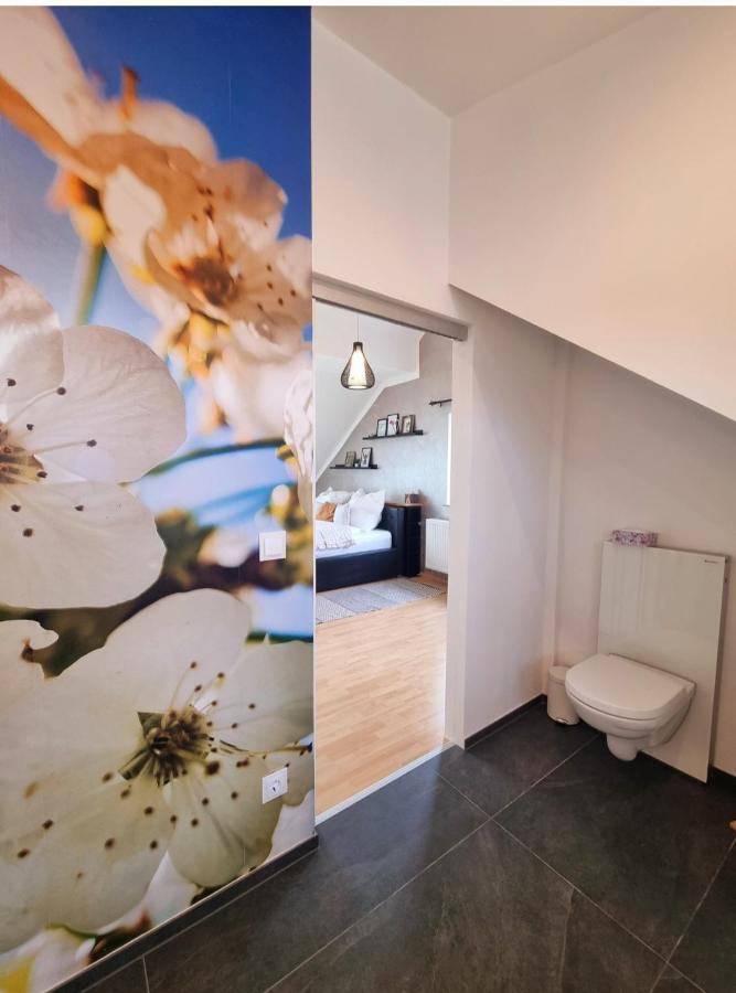 Ferienhaus Im Luftkurort Villa Schömberg Eksteriør billede
